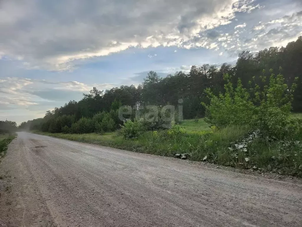 Участок в Челябинская область, Миасс ОНТ Русское Поле,  (102.0 сот.) - Фото 1