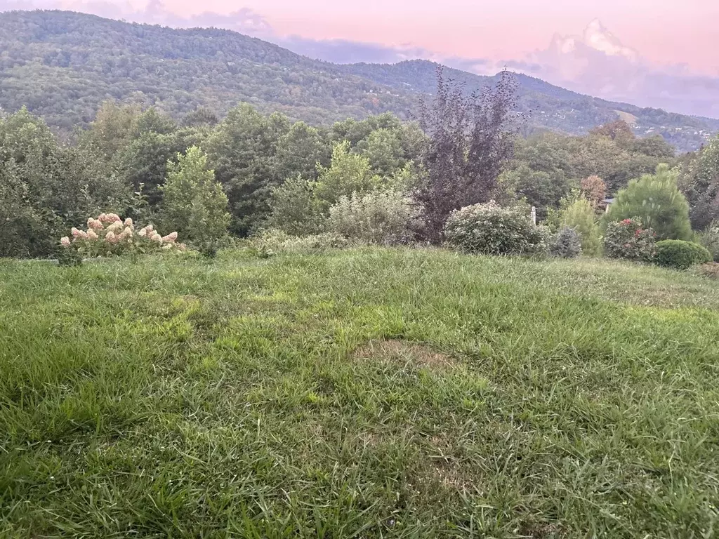 Участок в Краснодарский край, Сочи ул. Чекменева (15.0 сот.) - Фото 0
