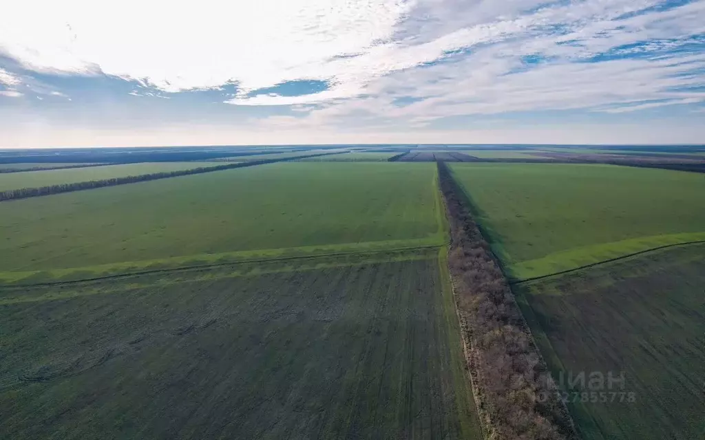 Участок в Краснодарский край, Ейский район, Моревское с/пос, пос. ... - Фото 2