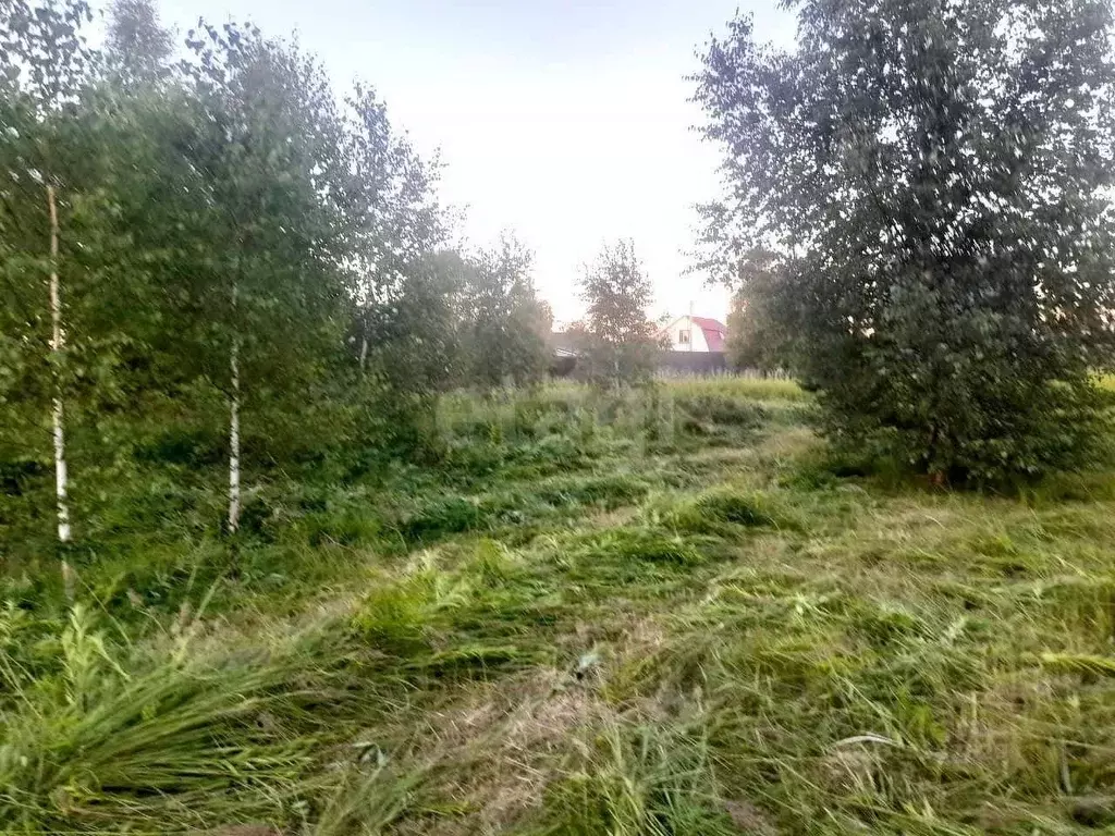 Участок в Московская область, Ступино городской округ, Лада СНТ 98 ... - Фото 1