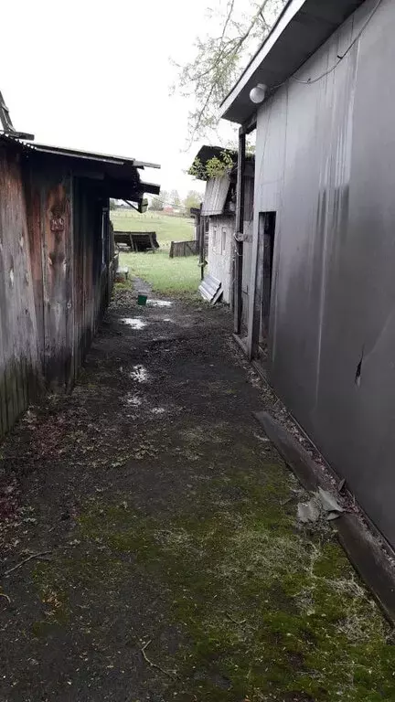 Дом в Свердловская область, Туринский муниципальный округ, село ... - Фото 1