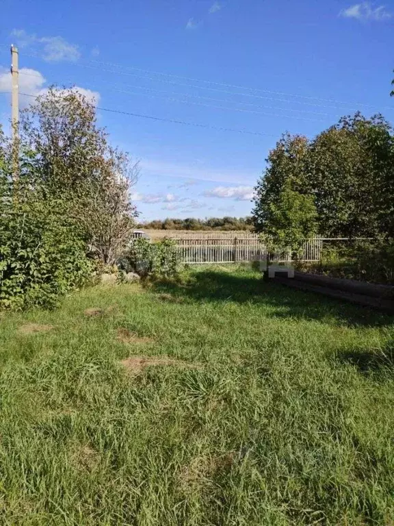 Участок в Новосибирская область, Колывань рп ул. Набережная (22.0 ... - Фото 1