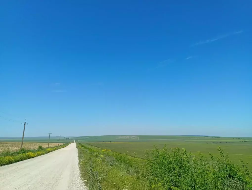 Участок в Крым, Ленинский район, Заветненское с/пос  (16.0 га.) - Фото 1