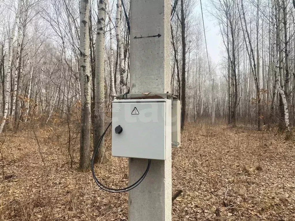 Участок в Хабаровский край, Хабаровский район, с. Черная Речка  (15.0 ... - Фото 1