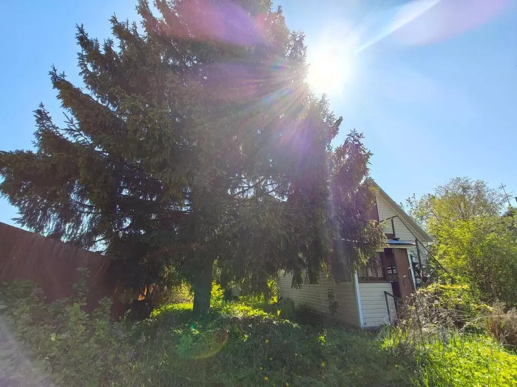 Дом в Московская область, Дмитровский муниципальный округ, Чайка-2 ТСН ... - Фото 2