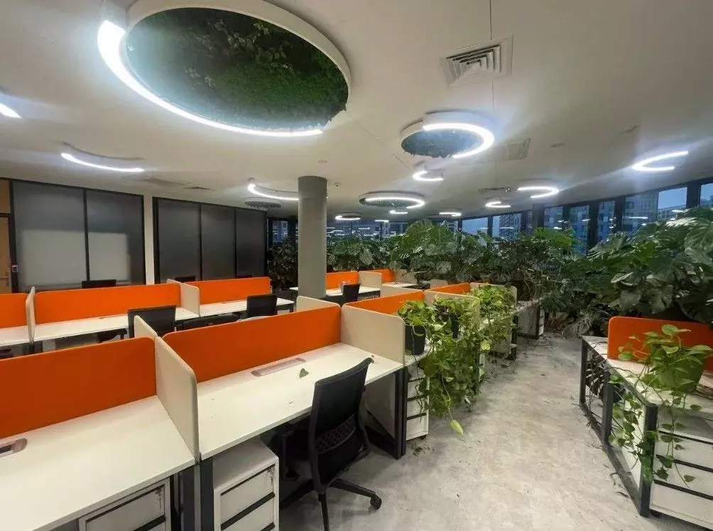 Офис в Санкт-Петербург бул. Александра Грина, 1 (2700 м) - Фото 2