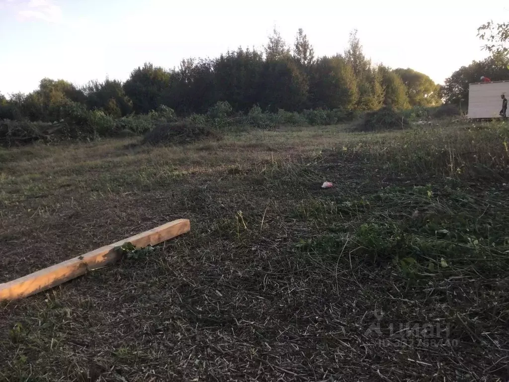 Участок в Тульская область, Новомосковск городской округ, с. Тетяковка ... - Фото 2