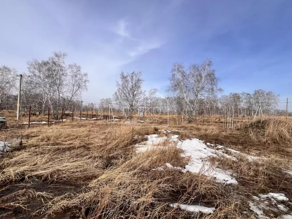 Участок в Новосибирская область, Новосибирский район, Верх-Тулинский ... - Фото 1
