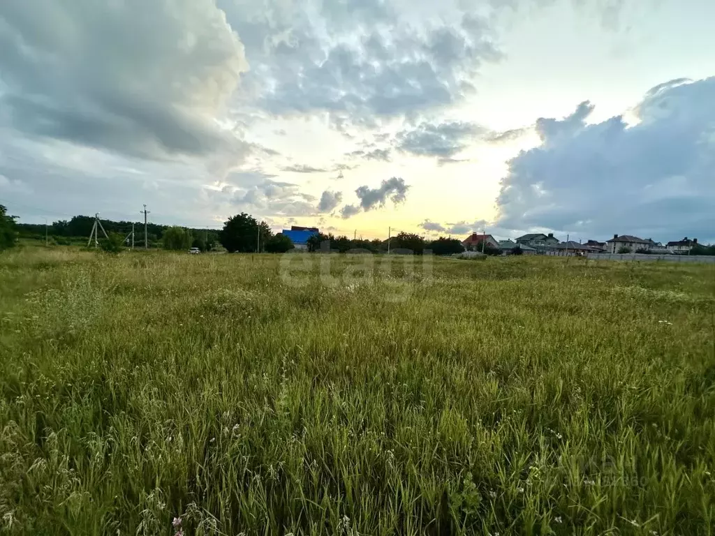 Участок в Белгородская область, Белгородский муниципальный округ, с. ... - Фото 2