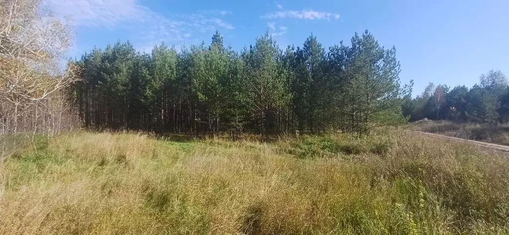 Участок в Алтайский край, Первомайский район, с. Фирсово  (13.0 сот.) - Фото 2