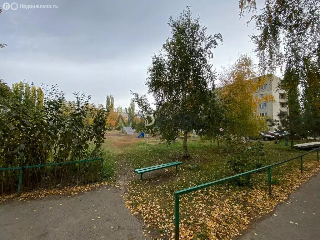 1-комнатная квартира: Маркс, проспект Ленина, 84 (29.9 м) - Фото 0