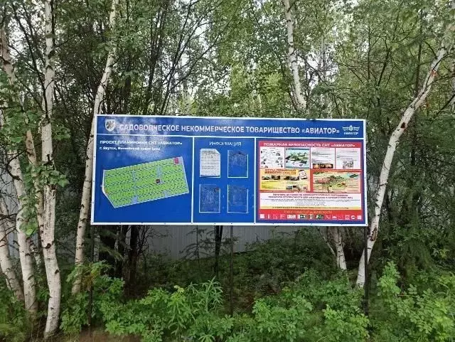 Участок в Саха (Якутия), Якутск городской округ, с. Маган  (8.0 сот.) - Фото 2