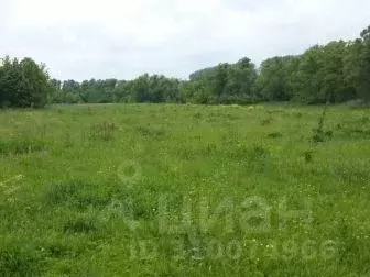 Участок в Белгородская область, Белгородский район, Беловское с/пос, ... - Фото 1