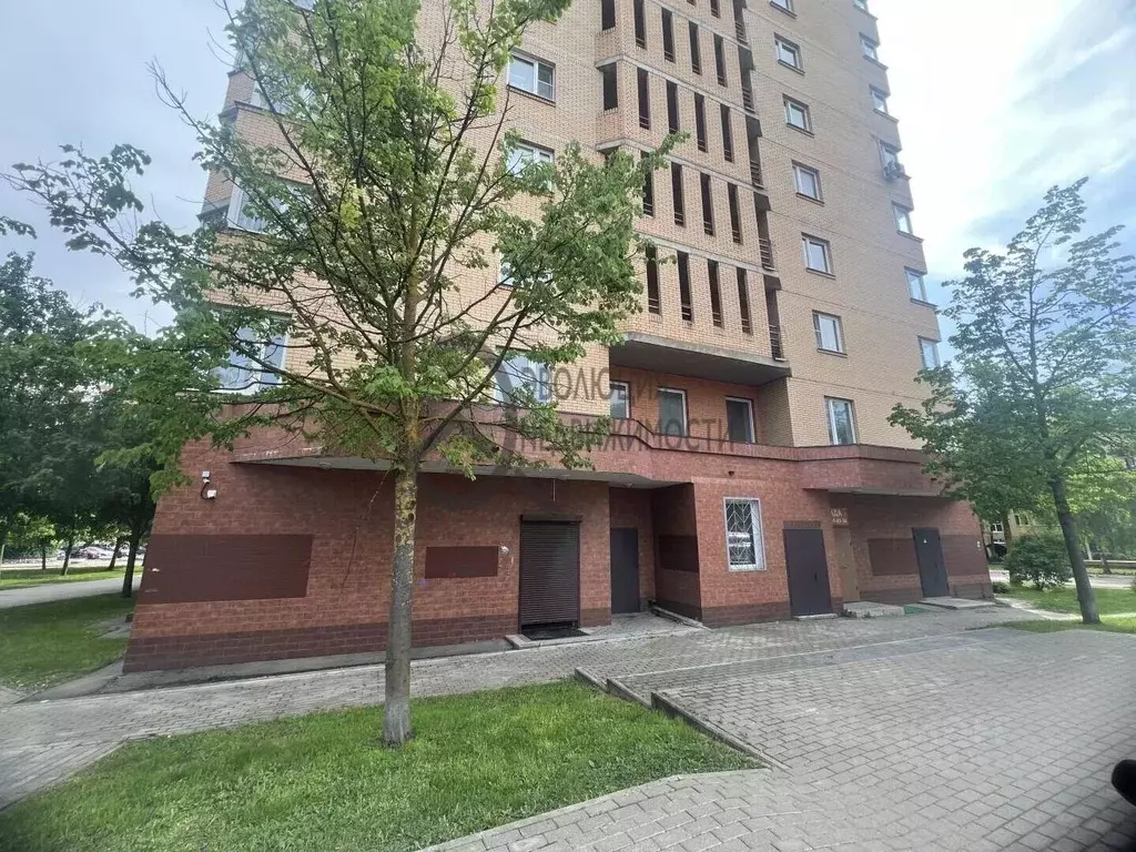 Помещение свободного назначения в Московская область, Истра ул. ... - Фото 1