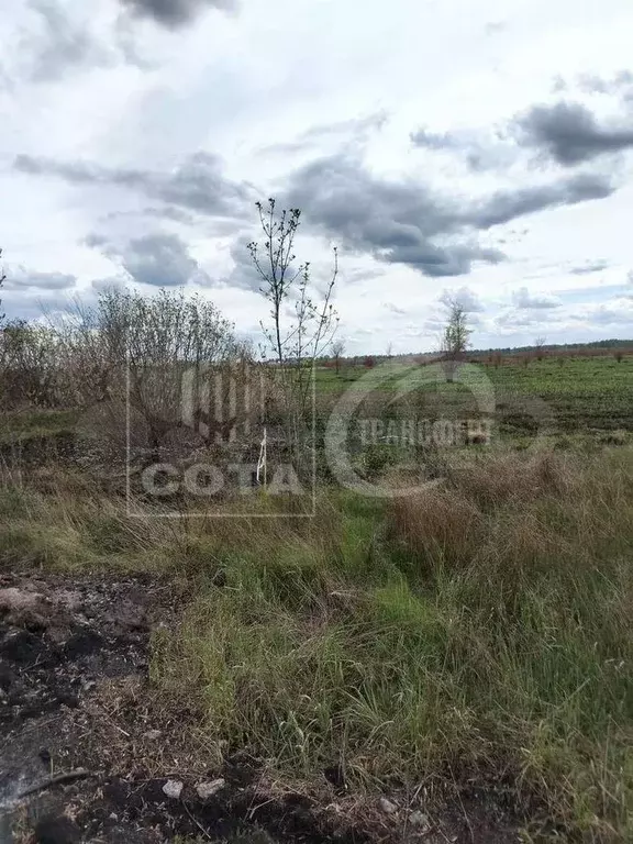 Участок 9 сот. (СНТ, ДНП) - Фото 0