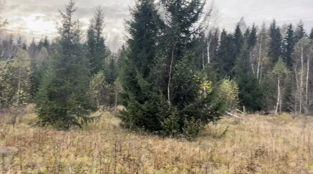 Коттедж в Московская область, Богородский городской округ, Щемиловские ... - Фото 1