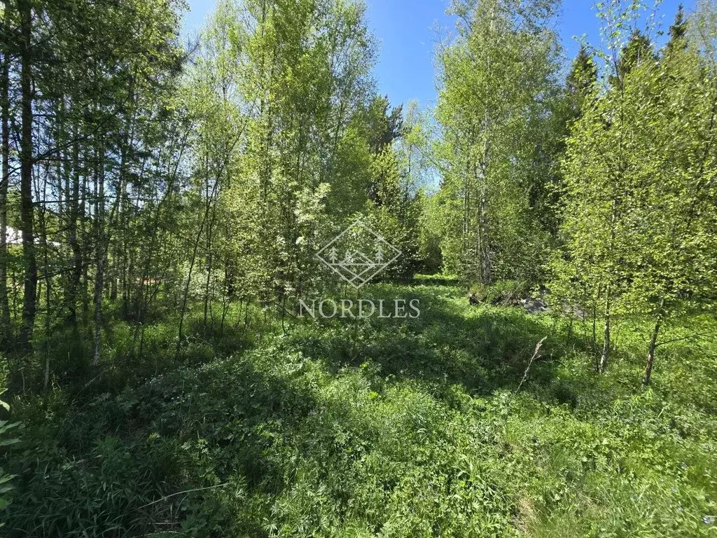 Участок в Московская область, Щелково городской округ, Снежная тер. ... - Фото 1