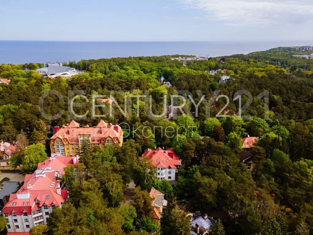 3-к кв. Калининградская область, Светлогорск ул. 8 Марта, 5 (96.0 м) - Фото 2