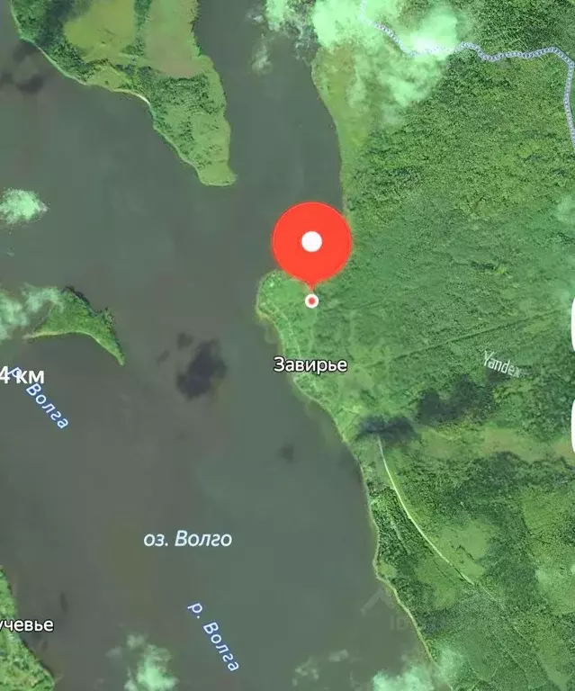 Участок в Тверская область, Селижаровский муниципальный округ, д. ... - Фото 2