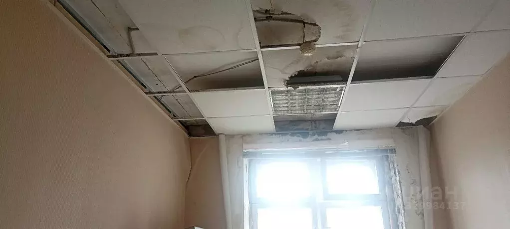 Помещение свободного назначения в Коми, Ухта ул. Губкина, 24 (14 м) - Фото 1