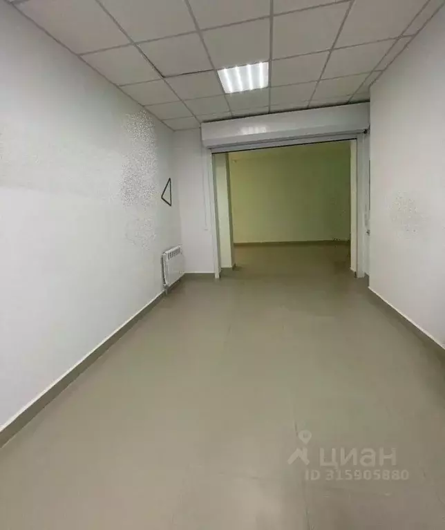 Помещение свободного назначения в Краснодарский край, Сочи ул. ... - Фото 0
