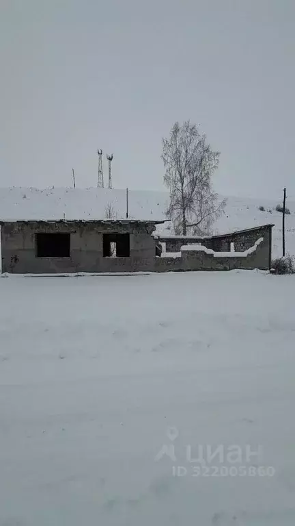 Участок в Алтайский край, Алтайский район, Айский сельсовет, с. Ая ул. ... - Фото 2