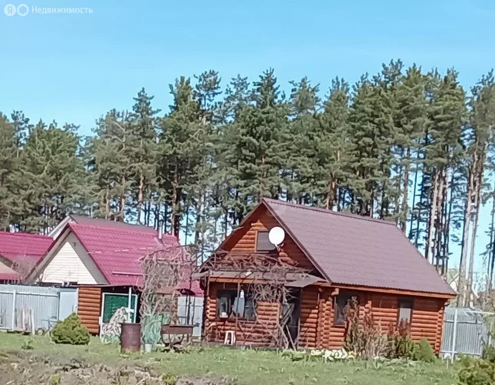 Дом в Вологодская область, рабочий посёлок Кадуй (50 м) - Фото 1