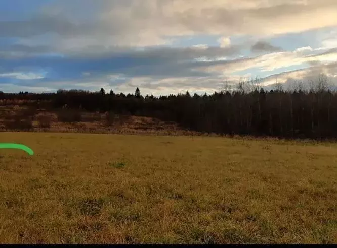 Участок в Московская область, Сергиево-Посадский городской округ, д. ... - Фото 2