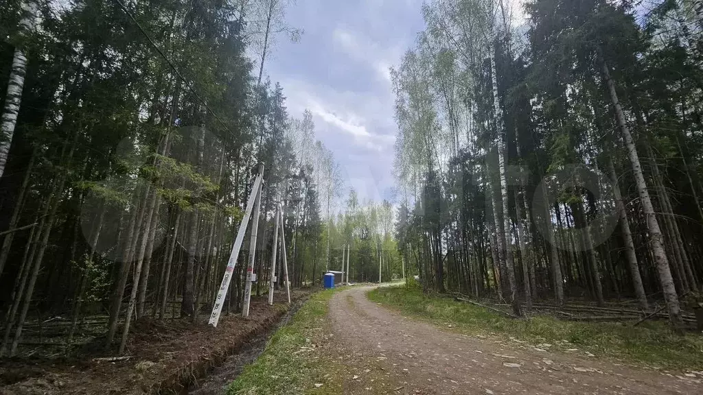 Участок 8,9 сот. (СНТ, ДНП) - Фото 0