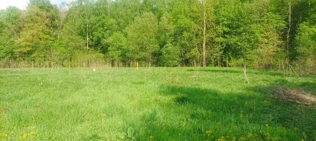 Участок в Тульская область, Новогуровский рп ул. Осиновая, 21 (14.36 ... - Фото 1