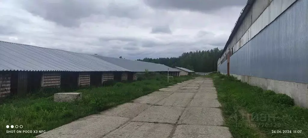 Производственное помещение в Марий Эл, Звениговский район, Суслонгер ... - Фото 1