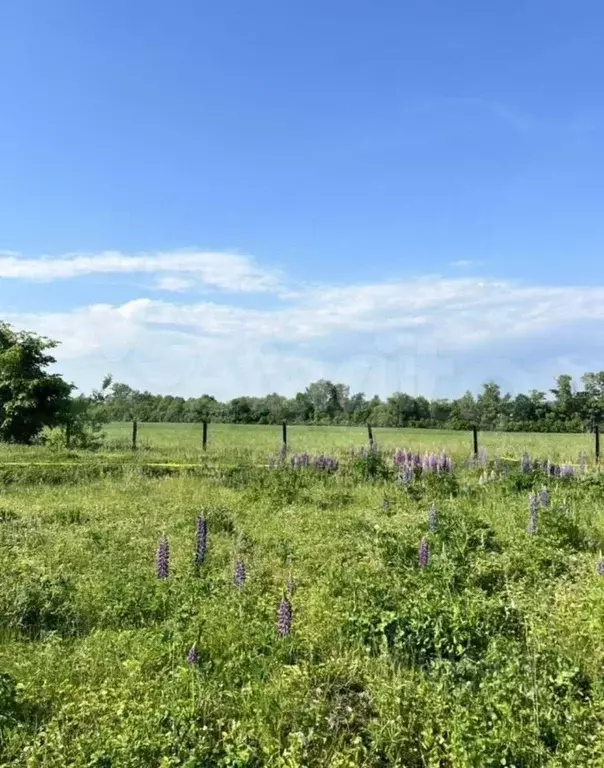 Участок в Башкортостан, Чишминский район, Ибрагимовский сельсовет, ... - Фото 2