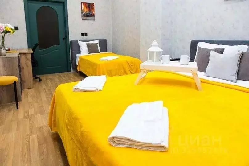 3-к кв. Татарстан, Казань ул. Пушкина, 3 (95.0 м) - Фото 1