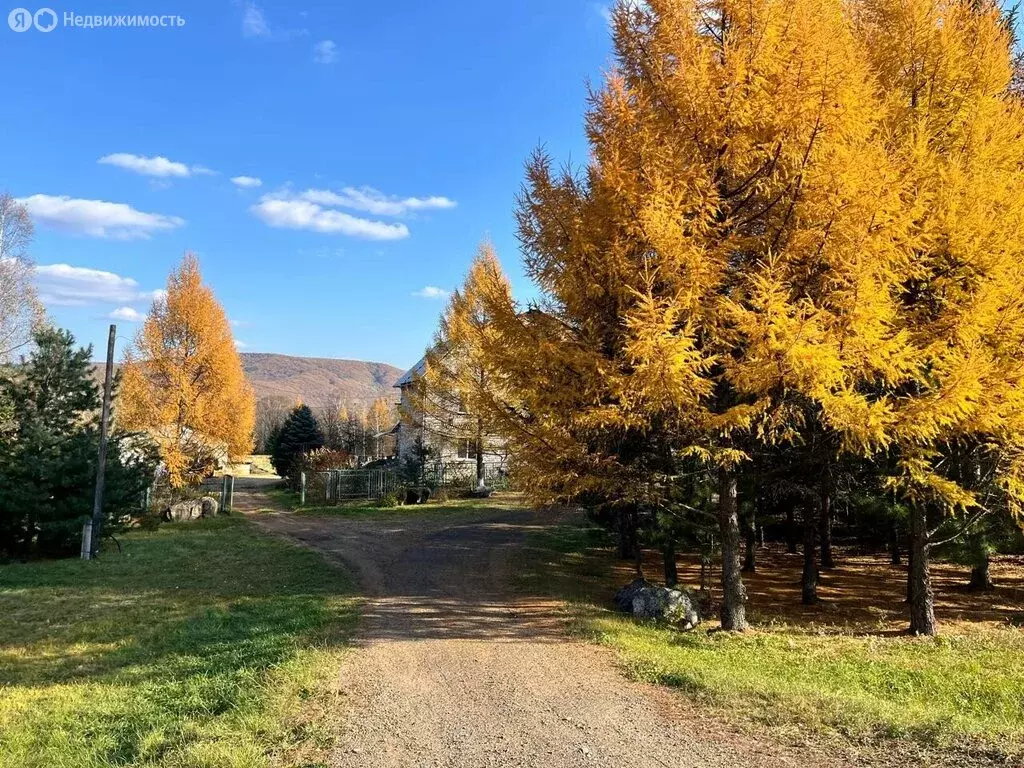 Дом в Приморский край, Анучинский муниципальный округ, село ... - Фото 2