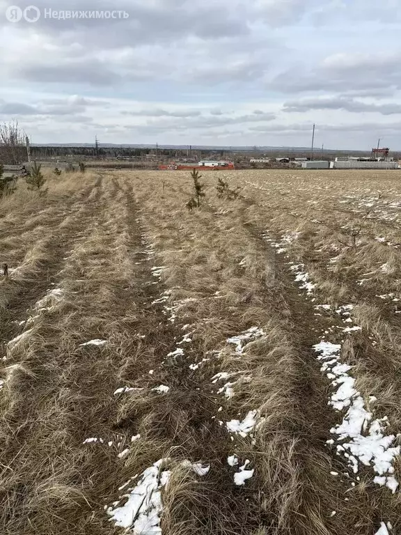Участок в городской округ Красноярск, городской посёлок Берёзовка ... - Фото 1