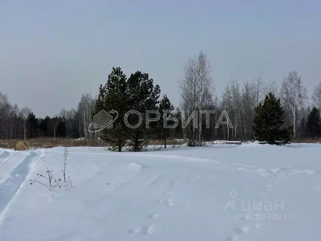 Участок в Тюменская область, Нижнетавдинский муниципальный округ, с. ... - Фото 1