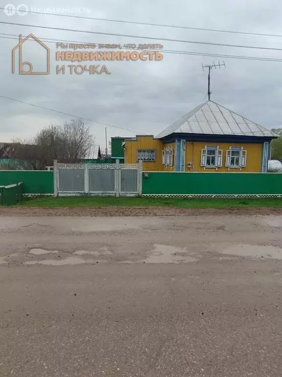 Дом в село Нижнеаташево, улица Гумерова, 42 (42.2 м) - Фото 0