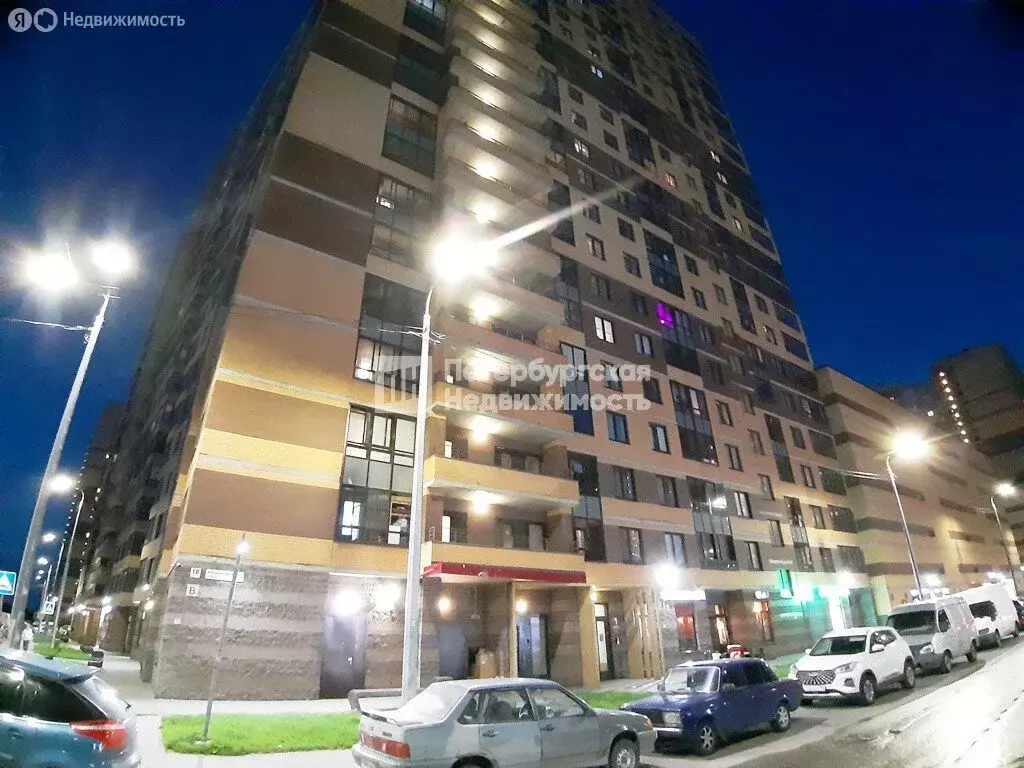 Квартира-студия: Санкт-Петербург, Русановская улица, 18к3 (24.2 м) - Фото 2