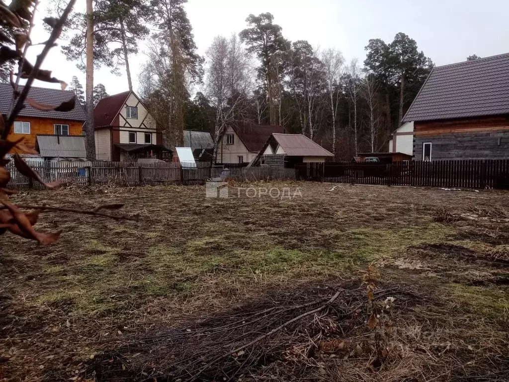 Участок в Алтайский край, Барнаул городской округ, с. Власиха ул. ... - Фото 1