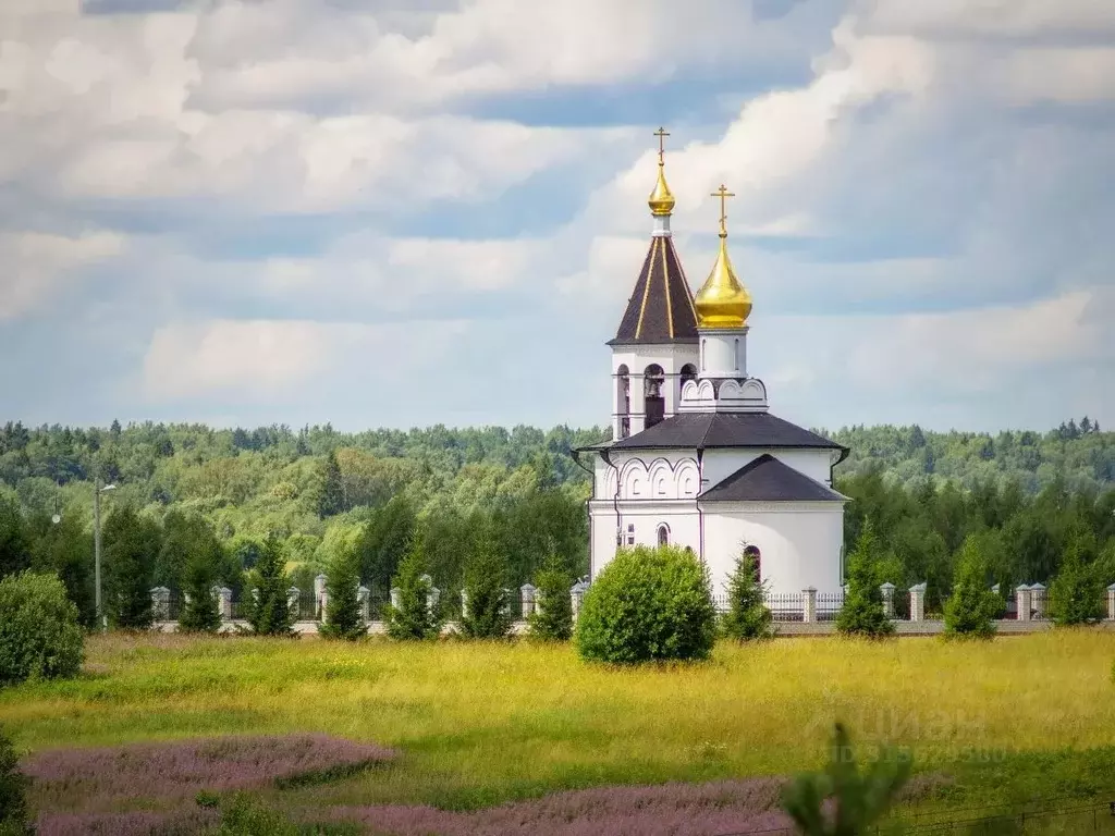 Участок в Владимирская область, Александровский район, ... - Фото 1