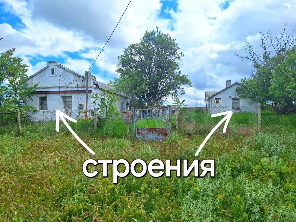 Дом 40 м на участке 56 сот. - Фото 1