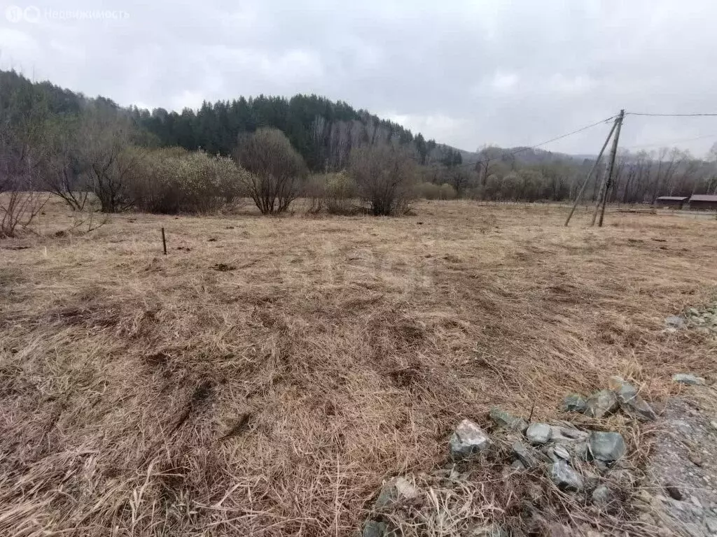 Участок в Майминский район, посёлок Филиал, улица Мира (10 м) - Фото 1