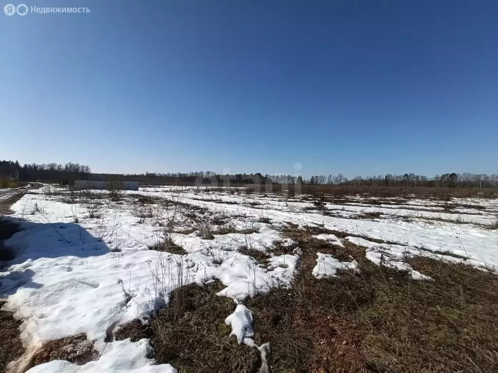 Участок в деревня Колюпаново, Ключевая улица (12.5 м) - Фото 2