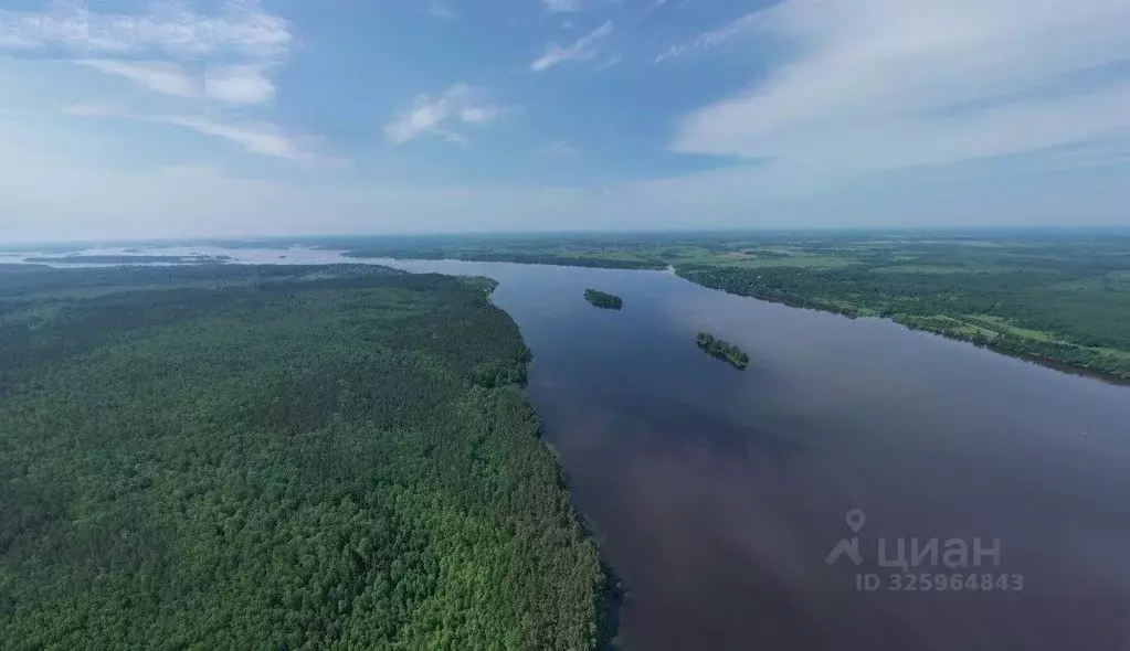 Участок в Тверская область, Кашинский муниципальный округ, д. ... - Фото 1