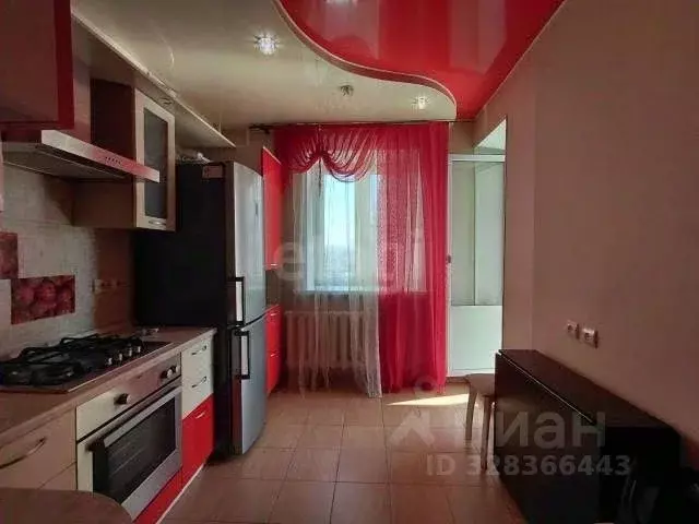 1-к кв. Орловская область, Орел ул. 8 Марта, 66 (41.0 м) - Фото 1