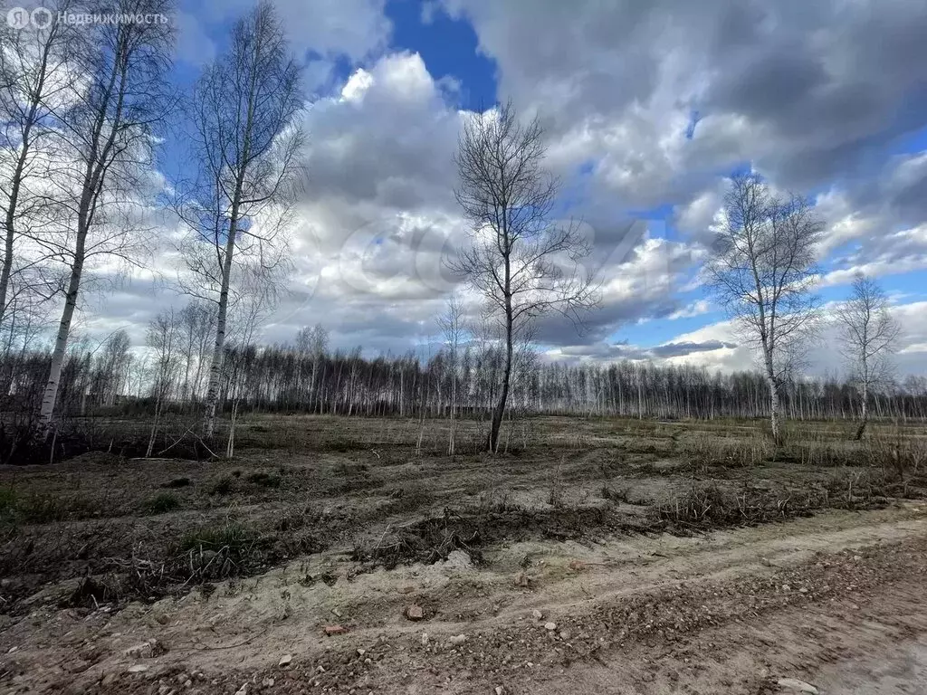 Участок в Тюневское сельское поселение, коттеджный поселок 7 озёр ... - Фото 1
