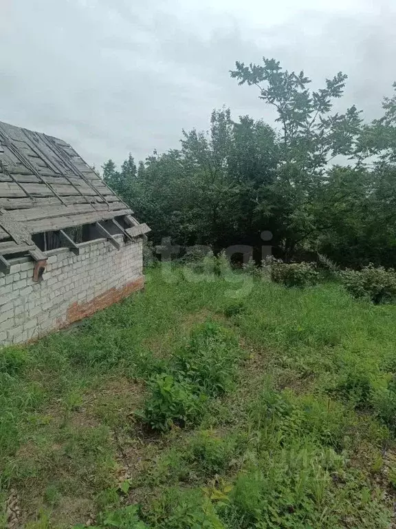 Участок в Амурская область, Благовещенск Маячок СТ,  (6.6 сот.) - Фото 1