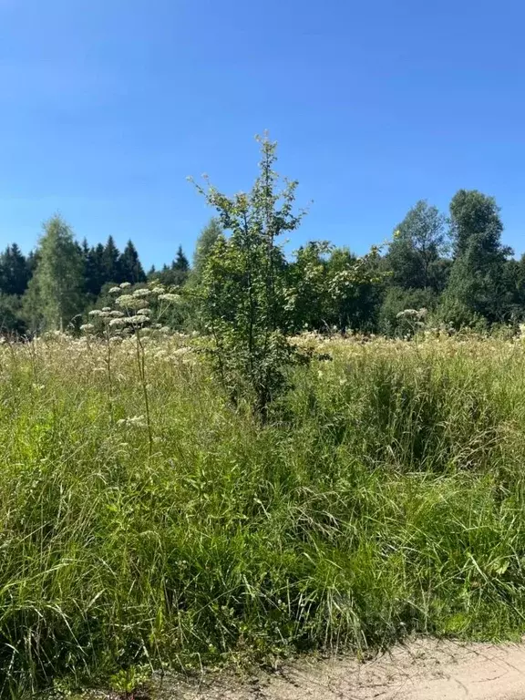 Участок в Московская область, Клин городской округ, Оптимист СНТ 55 ... - Фото 2