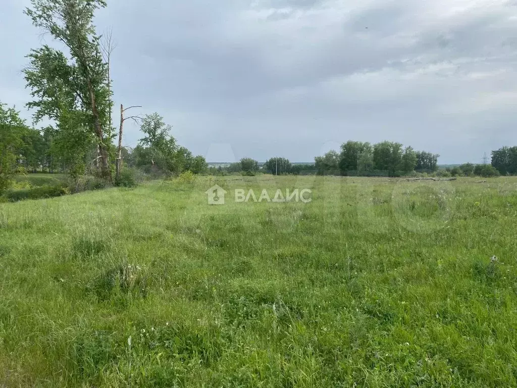 Участок 2,1 га (СНТ, ДНП) - Фото 0
