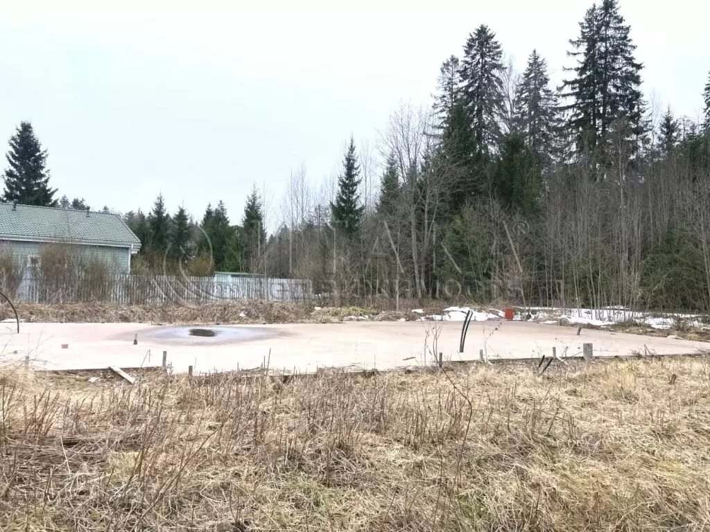 Участок в Выборг, улица Раппатила (12 м) - Фото 1